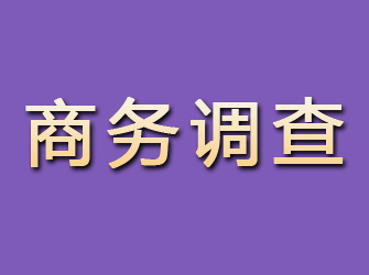 定陶商务调查